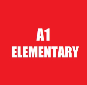 base-a1-course-torino-2 Corso di inglese Elementary A1 (Inizio corso: 11 marzo 2026)
